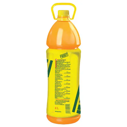 Frooti (1L)